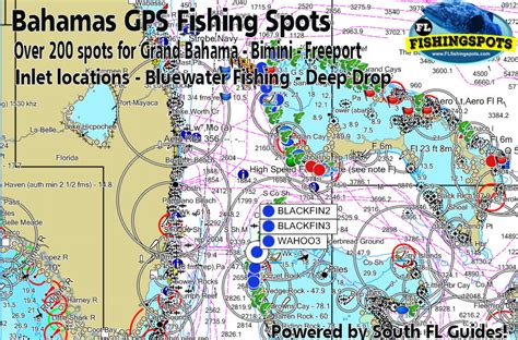 Bahamas GPS Fishing Spots | Bimini, Grand Bahama, Freeport Fishing Spots