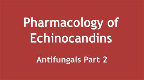 Pharmacology of Echinocandins (Antifungals Part 2) [ENGLISH] | Dr ...