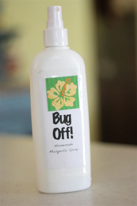 Homemade Natural Mosquito Spray - I Can Teach My Child!