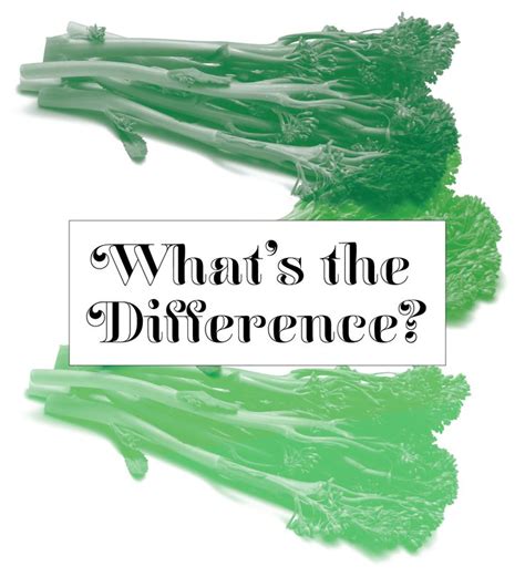 Broccolini vs. Broccoli Rabe vs. Rapini: What's the Difference? # ...