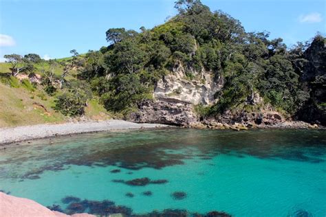 17 of the Best Coromandel Beaches - Ultimate Summer Guide