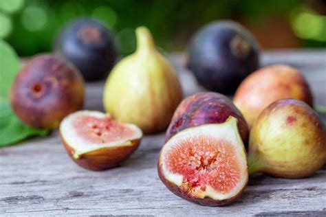 10 Most Effective Tips How to Prune Fig Trees - The Gardening Dad