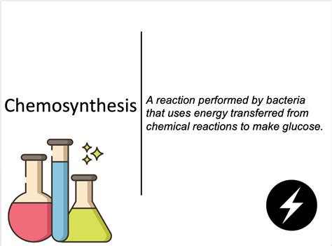 Chemosynthesis | Teaching Resources