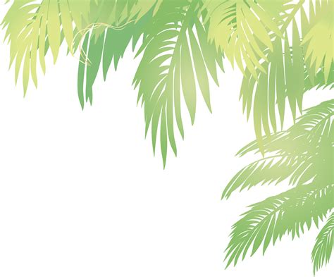 Palm Tree Leaf Vector Png - Goimages Coast