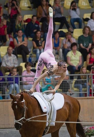 About - Equestrian Vaulting 2014