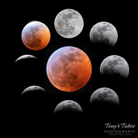 The phases of the lunar eclipse | Tony's Takes Photography