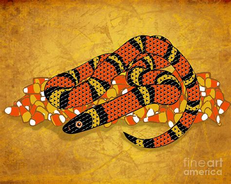 Mexican Candy Corn Snake Digital Art by Laura Brightwood | Fine Art America