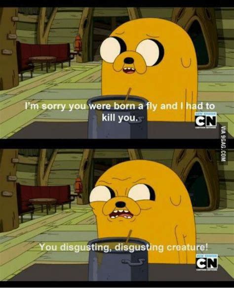 One of my favorite Jake quotes : r/adventuretime