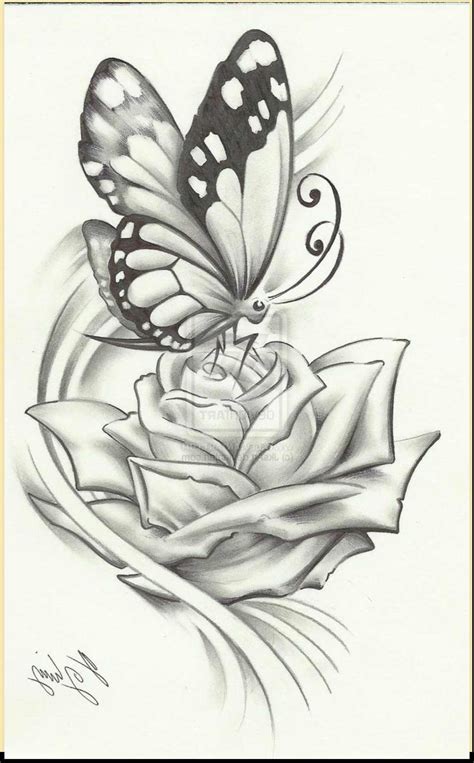 Pencil Drawing Of Butterfly at GetDrawings | Free download