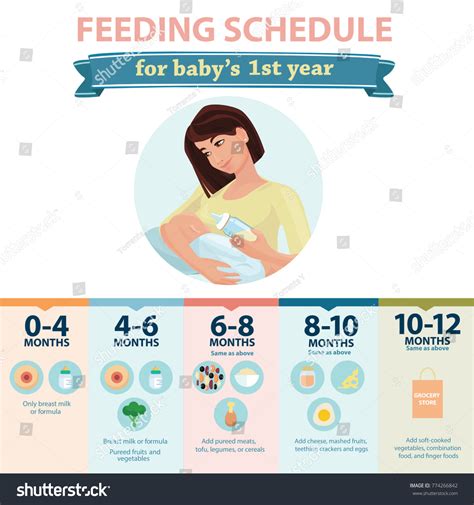 Feeding Schedule Babies 1 Year Tips Stock Vector (Royalty Free ...