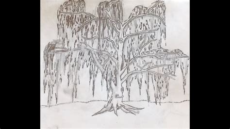 How To Draw A Weeping Willow Tree - Machinebishop Triptoli