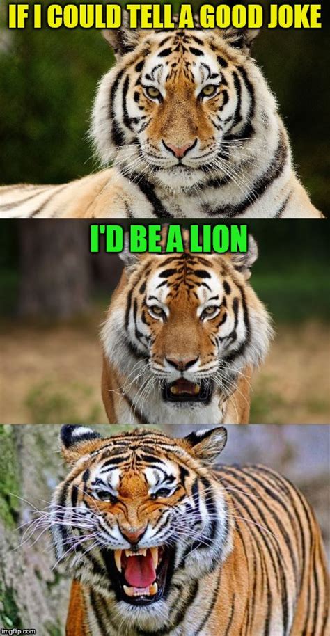 Bad Pun Tiger - Imgflip