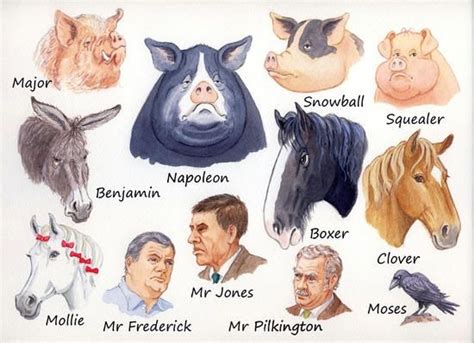 Animal Farm Characters | Animal farm book, Animal farm novel, Animal ...