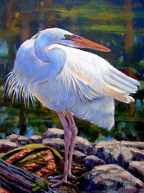 Great White Heron | Birds painting, Heron, Painting