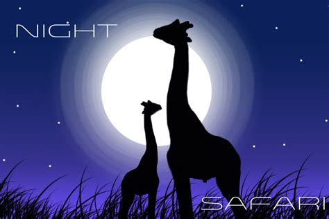 night safari on Behance