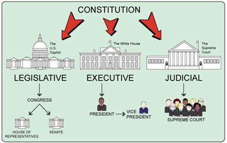 Separation Of Powers Graphic Organizer