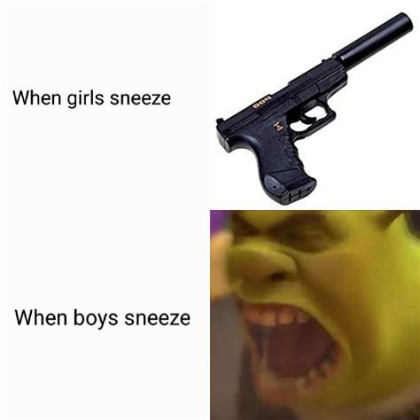 "Sneeze intensifies" : r/memes