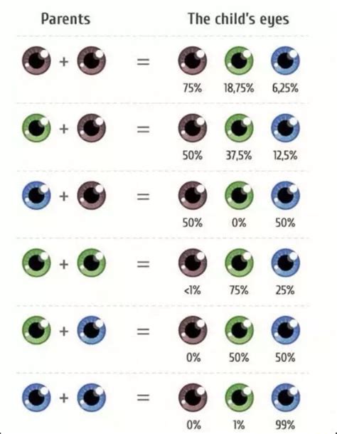 Eye Colour Probability Chart Eye Color Chart Eye Color Chart | Images ...