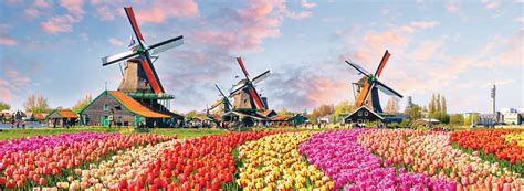 Holland & Belgium Tulip Tours & River Cruise Travel Packages