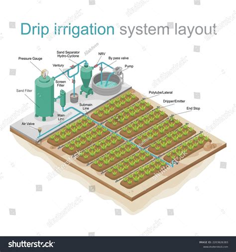 Drip Irrigation System Layout Isometric Stock Vector (Royalty Free ...