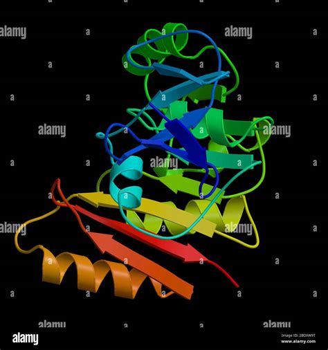 Fibrillarin homolog crystal structure hi-res stock photography and ...