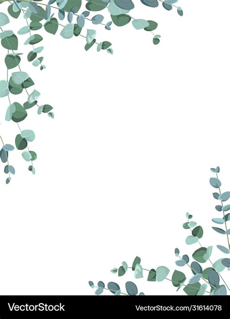 Eucalyptus border frame on white background Vector Image