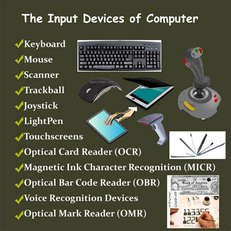 What are the Input Devices of Computer System