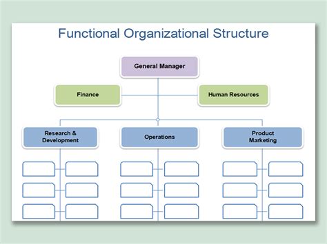 EXCEL of Functional Organizational Structure.xlsx | WPS Free Templates