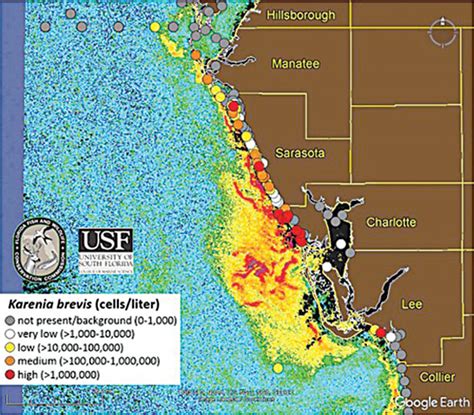 Red Tide Florida Map 2024 - Caron Cristie