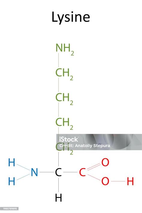 The Chemical Structure Of Lysine Stock Illustration - Download Image ...