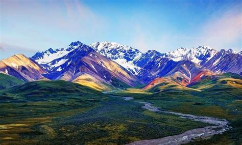 Denali National Park: An Absolute Guide For All Travelers