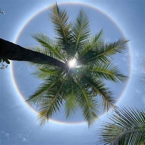 Rare glimpse takes Twitter on storm! Rainbow-coloured sun halo spotted ...