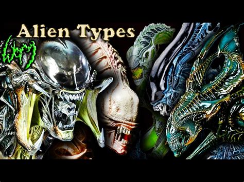 Aliens Xenomorph Types