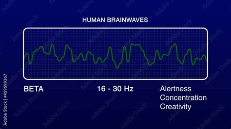 Beta Human Brain Waves Diagram Illustration Animation Stock Video ...