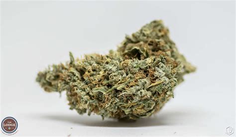 Rainmaker Strain Review - The Lodge Cannabis Denver