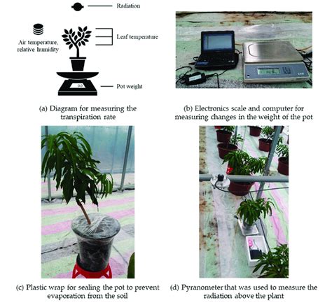 Diagram and arrangement of the experiment equipment for measuring the ...