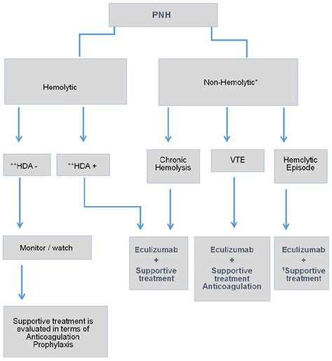 PNH Treatment Algorithm. VTE: Venous Thromboembolism. *In case of bone ...