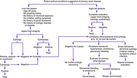 Microscopic hematuria | Obgyn Key