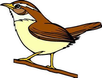 South Carolina Great Carolina Wren Bird Pictures | State Birds