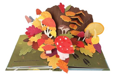 Best Pop-Up Books For Kids | POPSUGAR Moms