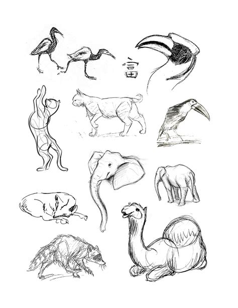 Easy Sketches To Draw With Pencil Animals / A wide variety of draw ...