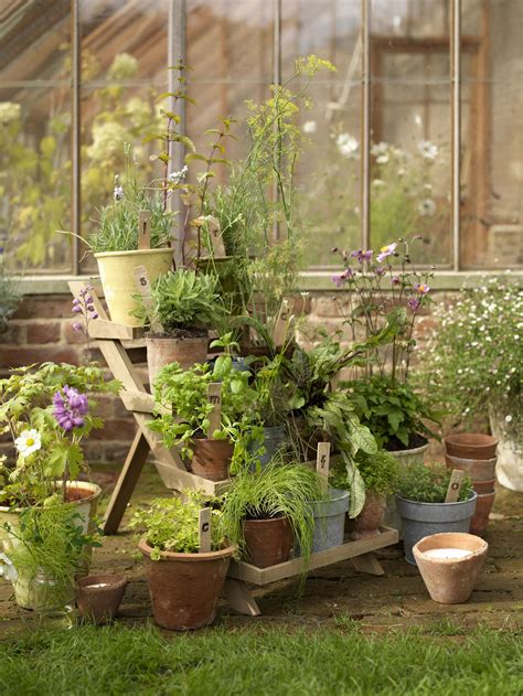 Growing vegetables in pots: everything you need to know | Gardeningetc