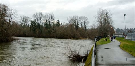 Flood watch downgraded for Comox Valley - My Comox Valley Now