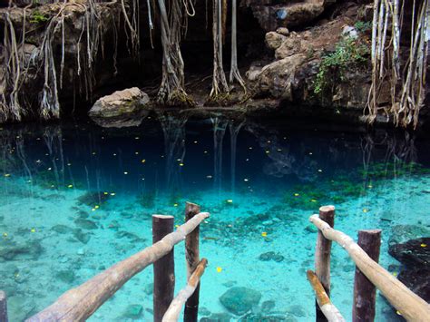 Cenote Swimming Private Tour - Vip Riviera Maya