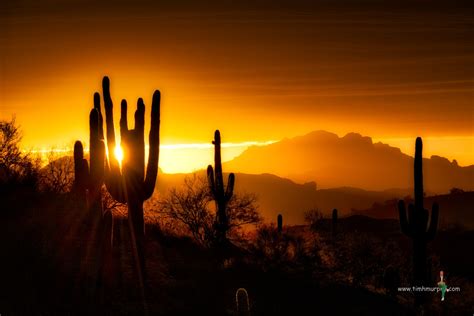 Stunning desert sunrise in Scottsdale, Arizona #sunrise | Desert ...