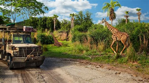 Kilimanjaro Safaris | Animal Kingdom Attractions | Walt Disney World Resort