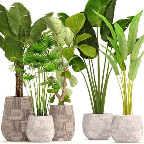 220. Plant 220 3dsmax Model Free Download | Plants, Plant decor, Plant ...