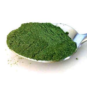 10 Ways to Use Moringa Powder (Plus Tasty Recipes)