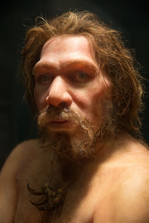 Neanderthal Free Stock Photo - Public Domain Pictures