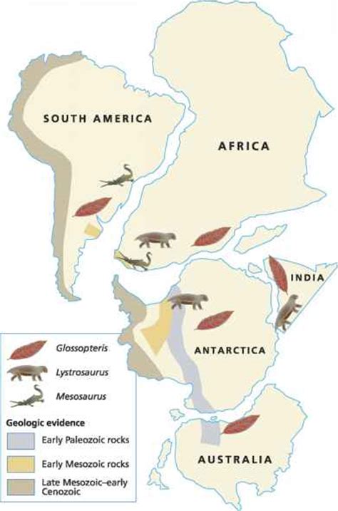 Alfred Wegener Takes On The World - Plate Tectonics - Fossil Hunters